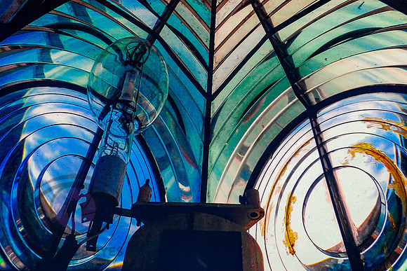 En el lente / In the Lens