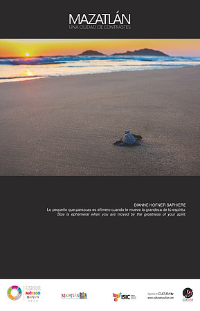 Lo pequeño que parezcas es efímero / Size is ephemeral